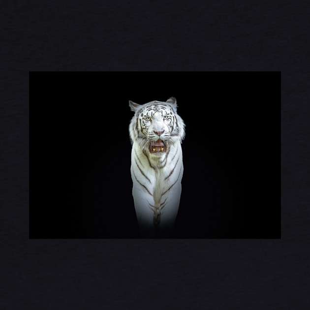 White Tiger Animal Wildlife Jungle Nature Travel Adventure Digital Painting by Cubebox